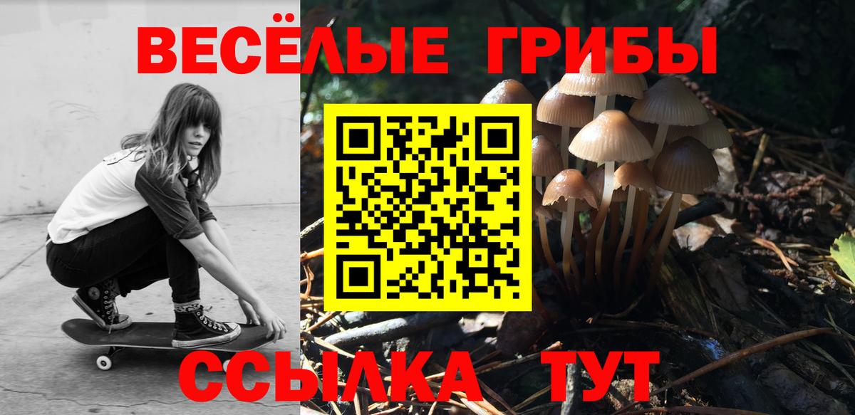 Галлюциногенные грибы прущие грибы  Псилоцибиновые грибы мицелий  Брянск  Вход с VPN 