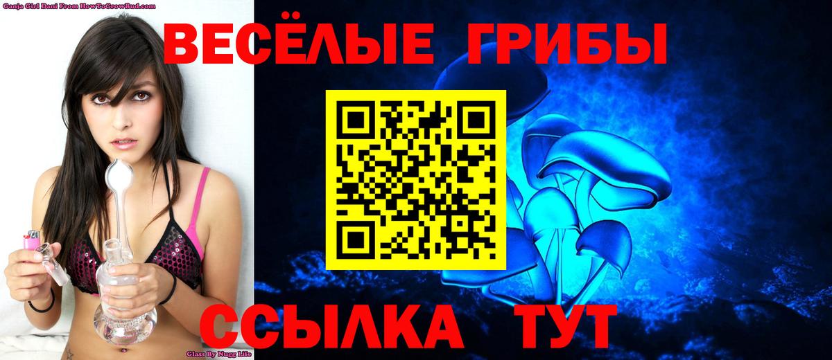 Псилоцибиновые грибы GOLDEN TEACHER Брянск